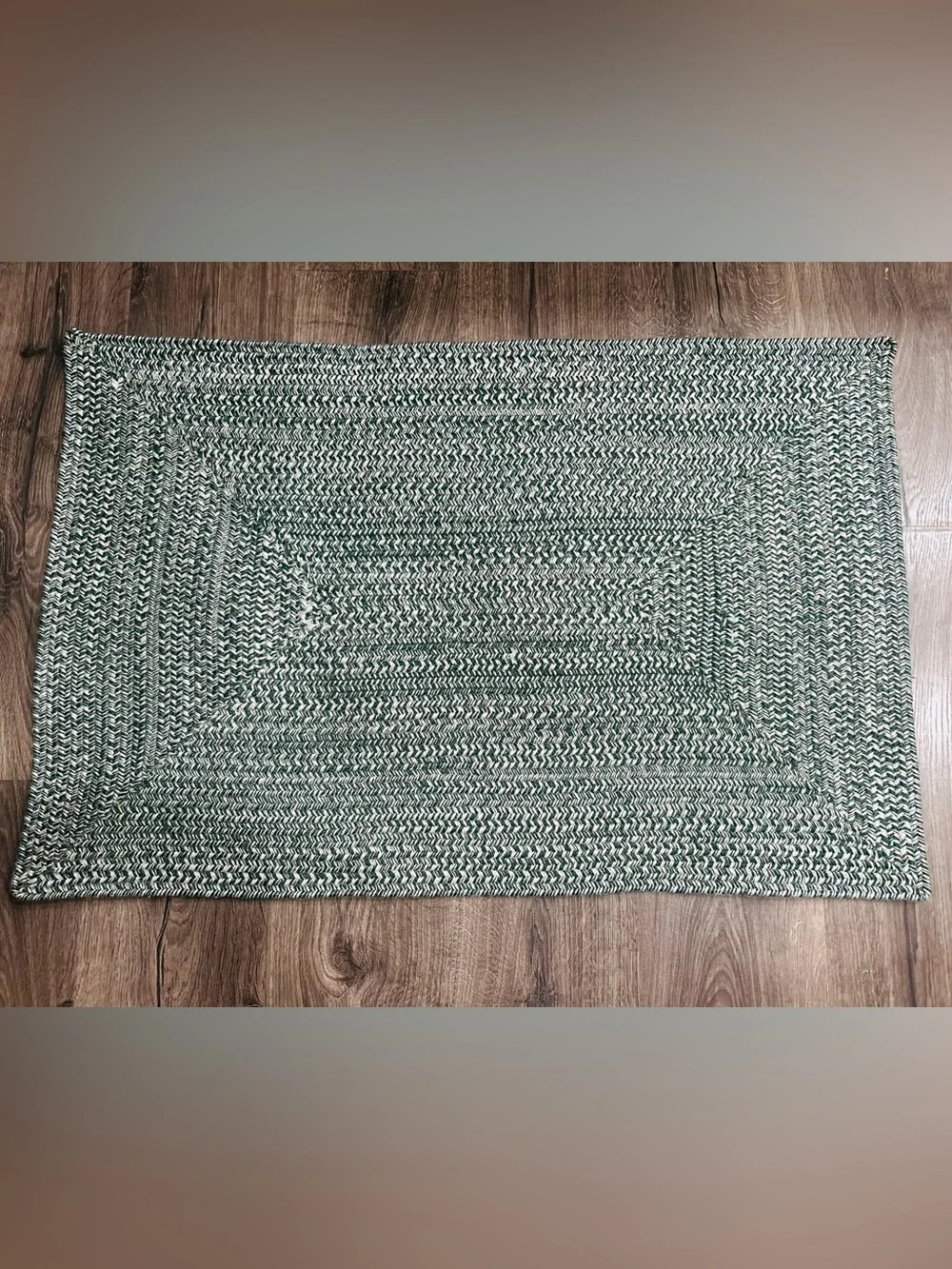Green White Braided Indoor Outdoor Rug Door Mat 2 x 3